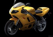 Triumph Daytona 955i Triumph Daytona 955i